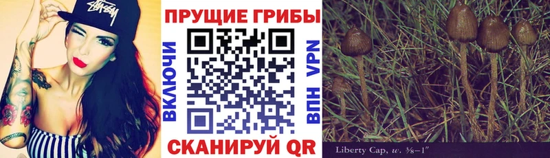 Галлюциногенные грибы Magic Shrooms  Купить закладки  Туймазы 